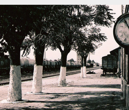 Estacion de Tomelloso, foto José Marquez, archivo AAFTA