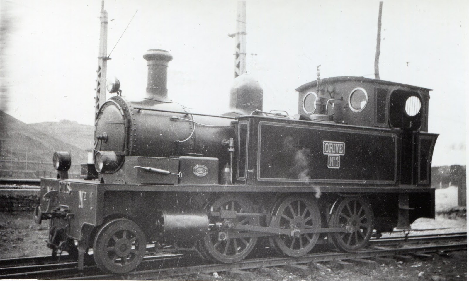 Luchana a Munguia, Locomotora Orive nº 1 , Foto  Gustavo Reder