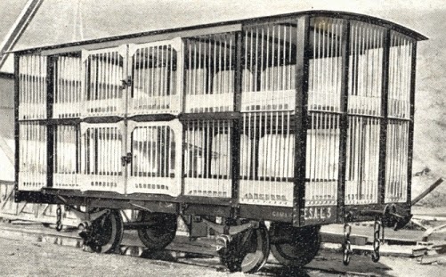 Vagon jaula de ESA, construido por Talleres de Miravalles, fondo MVF