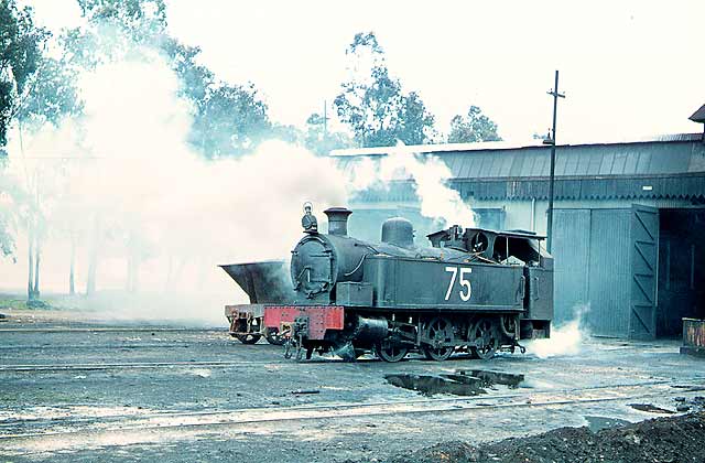 Locomotora nº 75 en abril de 1971, 