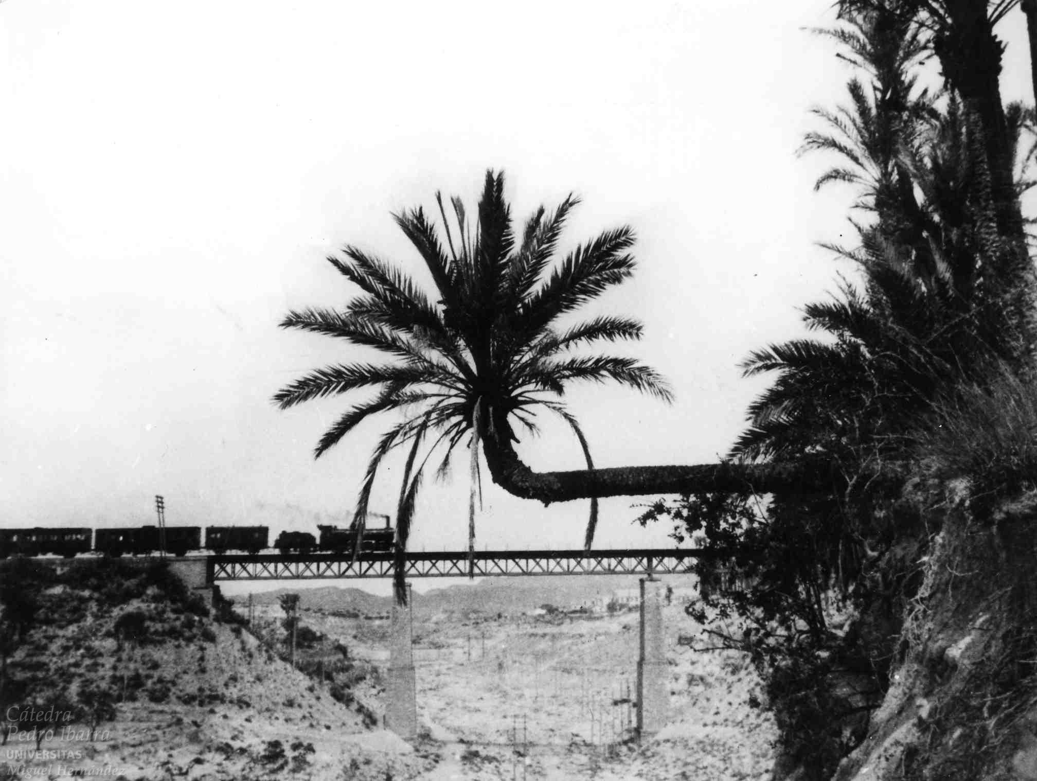 Elche. puente del ferrocarril. Fondo UMH