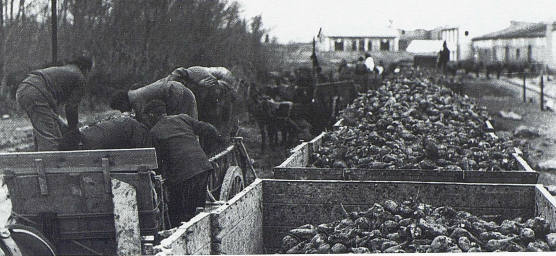 estacion-de-ejea-carga-de-remolacha-archivo-che