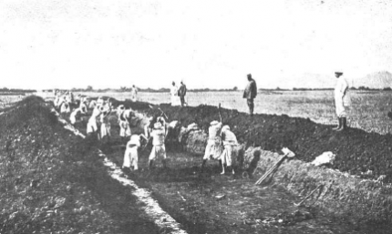 spanish-railway-blog-archive-ferrocarril-de-nador-a-batel-zeluan
