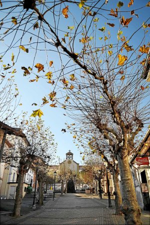 Plaza de La Reineta , fondo TFGP.