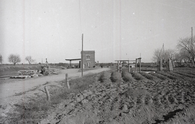 Linea de Gibraleon á Ayaonte , estacion de Cartaya con Marquesina (2)