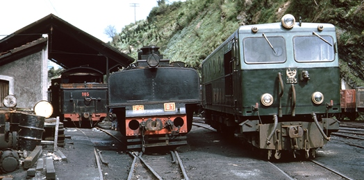 Lovomotora diesel de O.P. en el Fc de La Robal. Foto Peter Willen