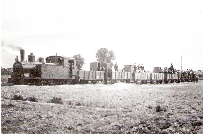 Tren de trabajos en la construccion de la línea