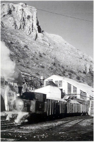 Tren minero con "El Esla"