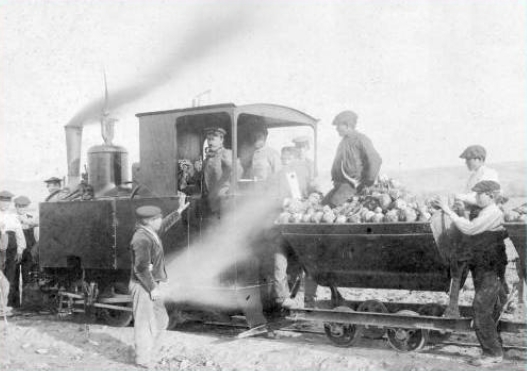 Azucarera de Madrid, transporte de remolacha, autor desconocido, fondo: