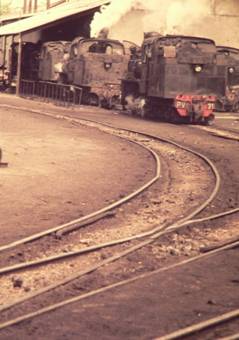 Playa del deposito de Ponferrada, año 1979, foto : Juan Peris Torner