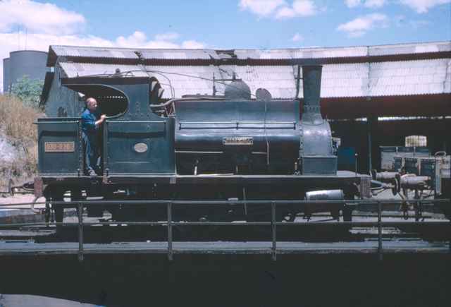 Locomotora