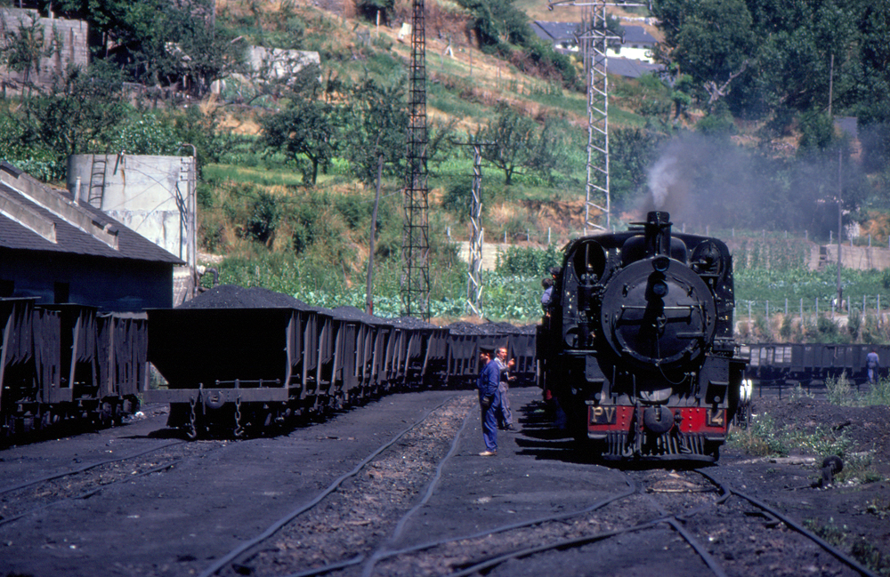 Tren carbonero en Villarino