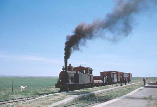 Medina de Rioseco a Villada, estacion de Mora La Reina, mayo 1965, 