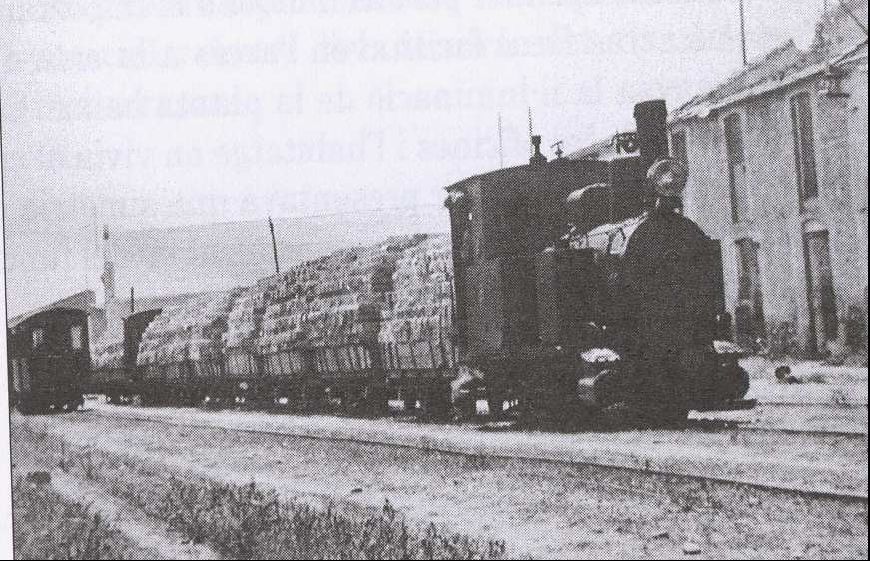 Descendente en Almazora, marzo de 1956, fondo: Juan Peris Torner