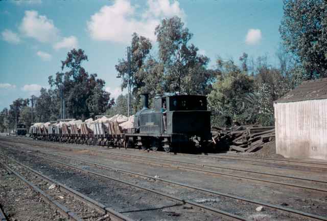 Tren de cañlizas con la locomotora "La Vascongada"